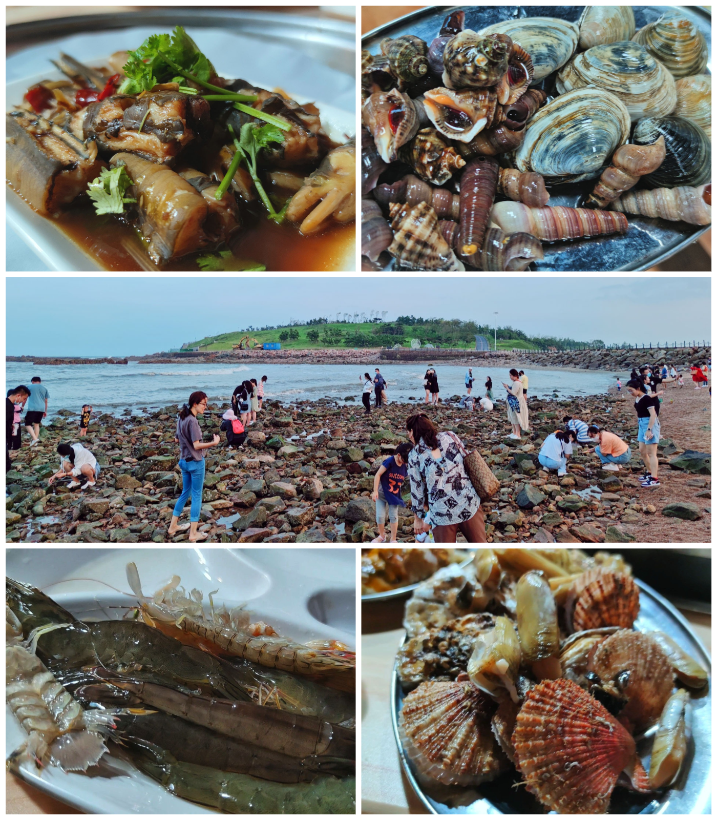 20210914_初秋的青岛之行Day2.小麦岛与海鲜自助.png /blog/游记/附件/2021/20210914_初秋的青岛之行Day2.小麦岛与海鲜自助.png