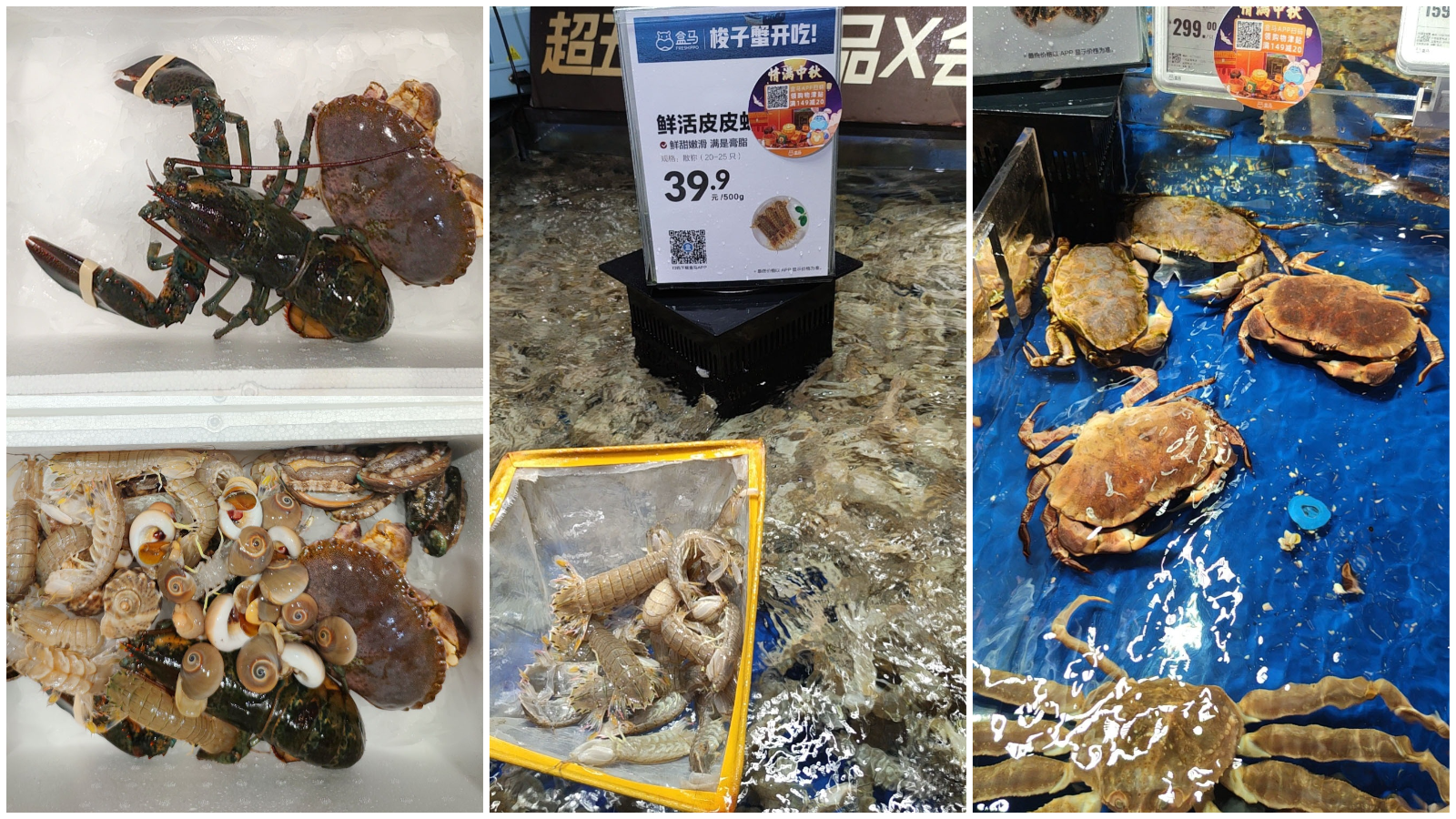 20210915_初秋的青岛之行Day3-4.海鲜.png /blog/游记/附件/2021/20210915_初秋的青岛之行Day3-4.海鲜.png