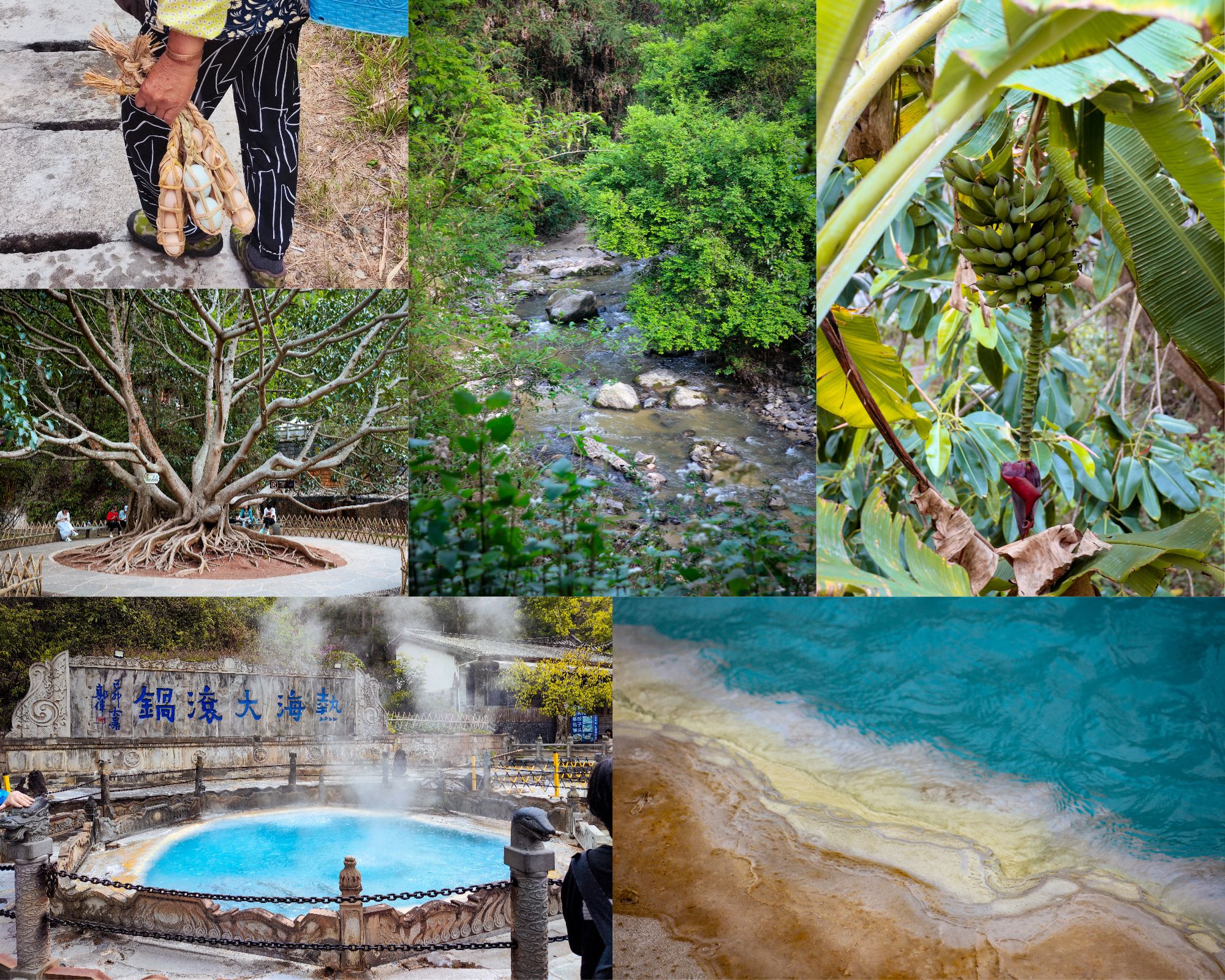 热海 /blog/游记/附件/2024/20240422_匆忙的云南之行.day3.热海.jpg