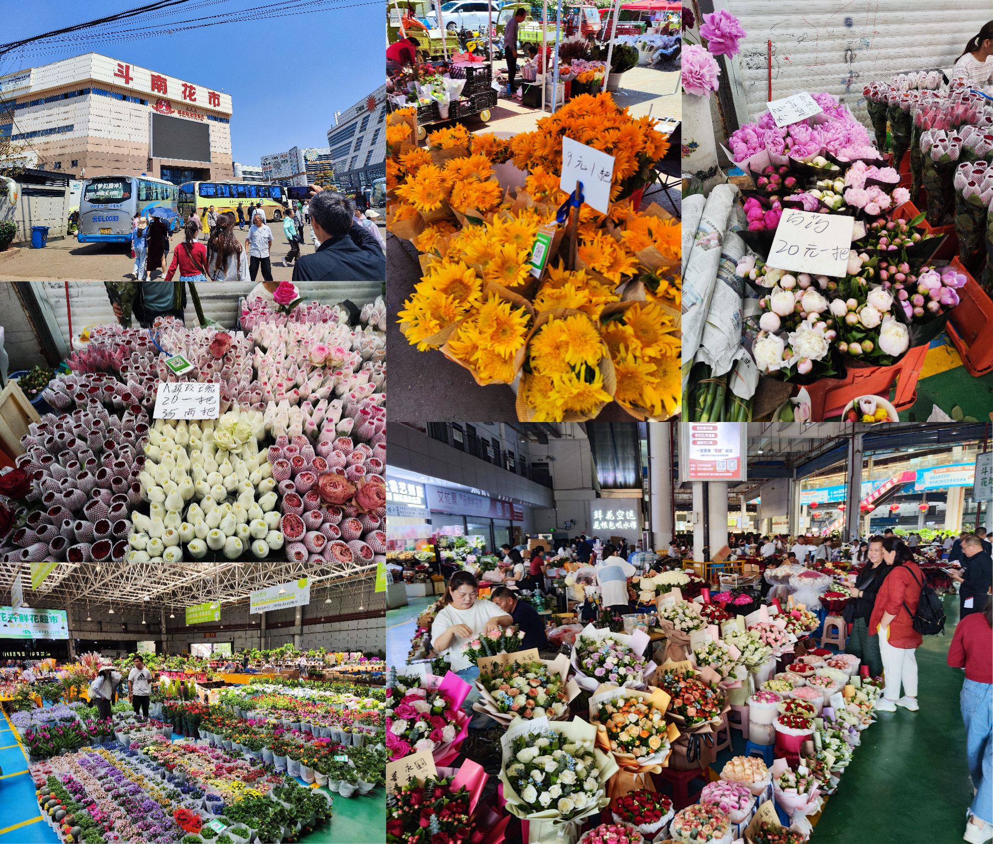 斗南 /blog/游记/附件/2024/20240422_匆忙的云南之行.day6.斗南.jpg